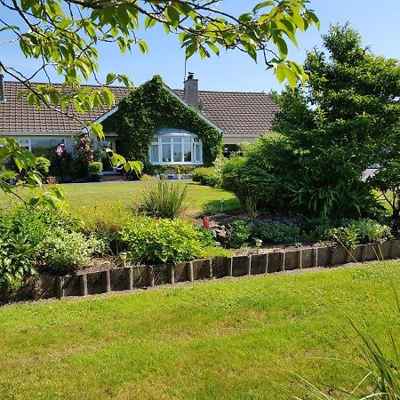 Meadow View B&B バリミーナ エクステリア 写真
