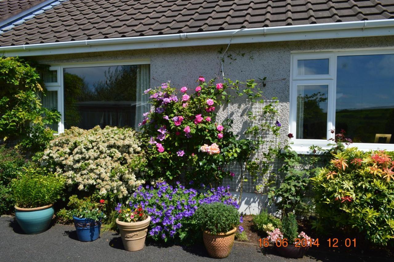 Meadow View B&B バリミーナ エクステリア 写真
