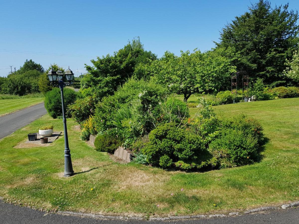 Meadow View B&B バリミーナ エクステリア 写真