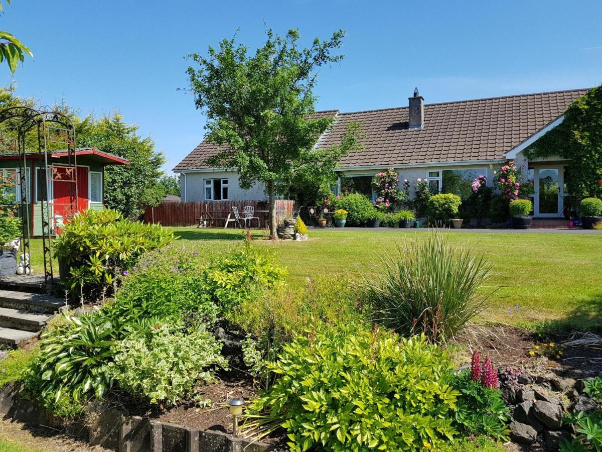 Meadow View B&B バリミーナ エクステリア 写真