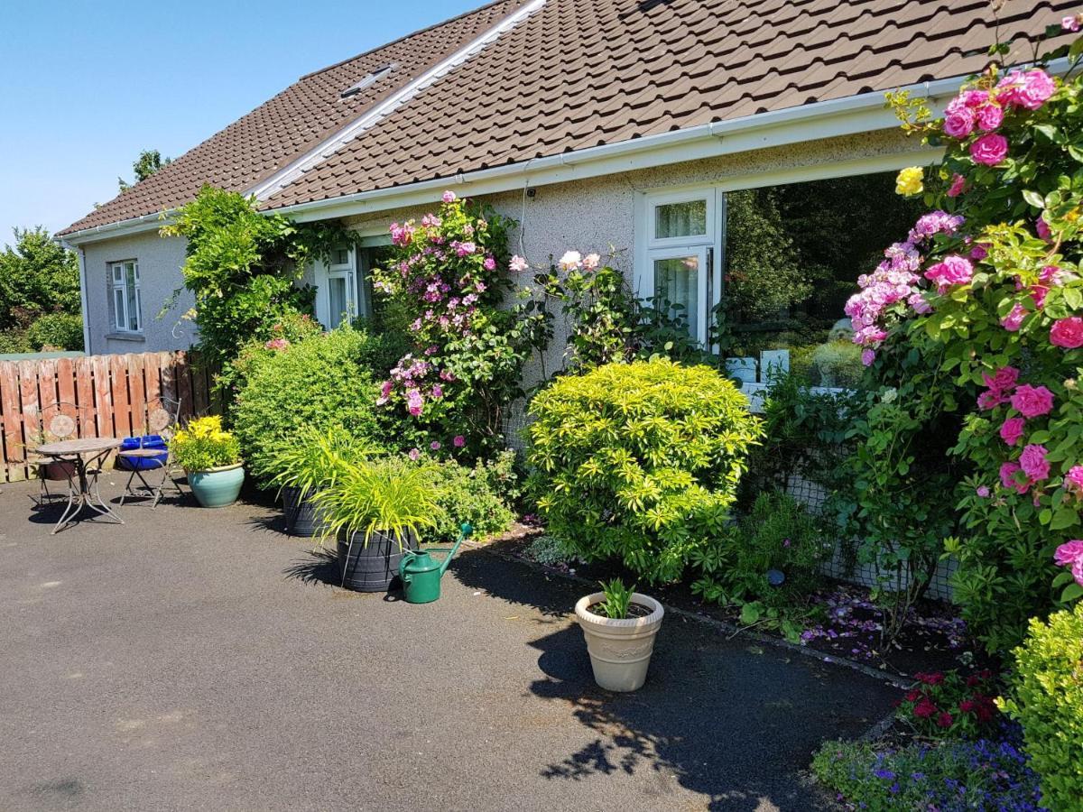 Meadow View B&B バリミーナ エクステリア 写真